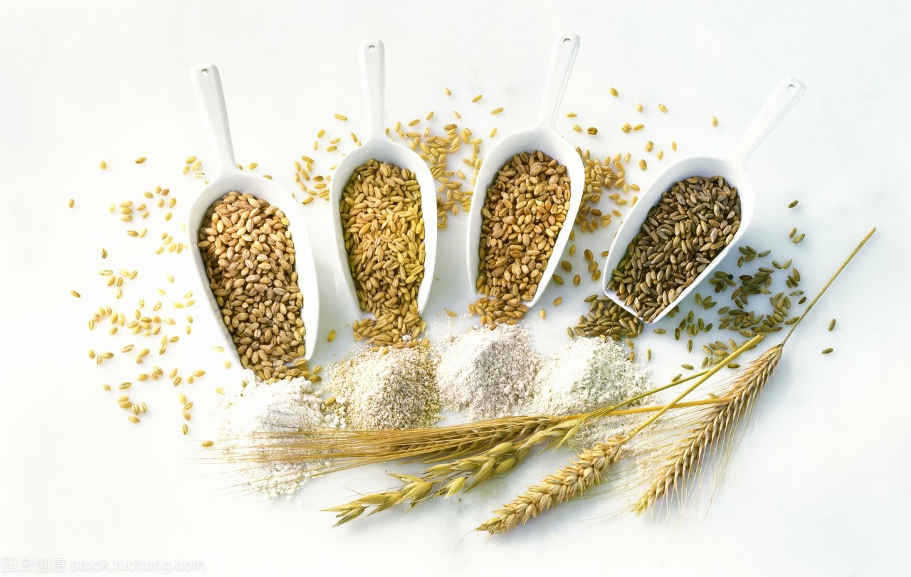 禾谷类作物的产品。这里有耳朵,谷物和面粉从左到右大麦,燕麦,小麦和黑麦。